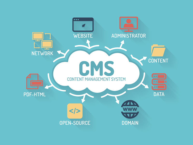 Custom CMS Development Services in Austin - Scalable Content Management Solutions